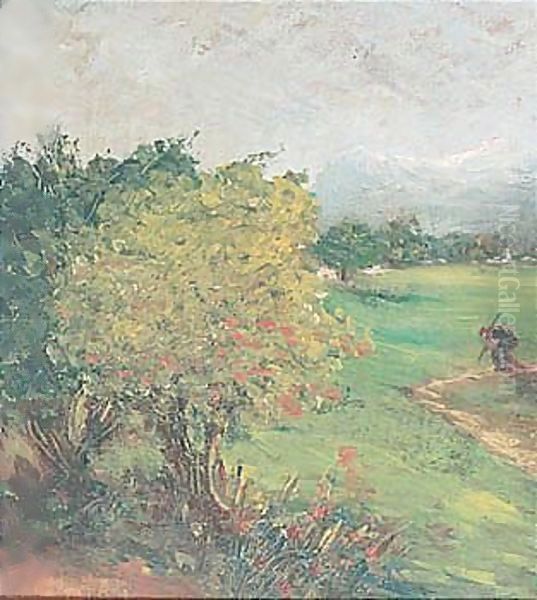 Paesaggio - view 1
