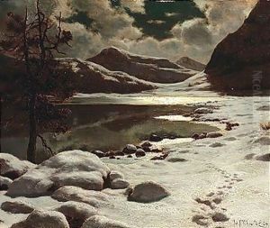 Nightfall over the lake