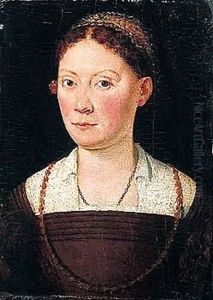 Portrait of a lady, half-length, wearing a brown dress by Sofonisba Anguissola
