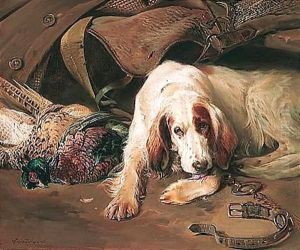The Day's Bag 2 by William Woodhouse