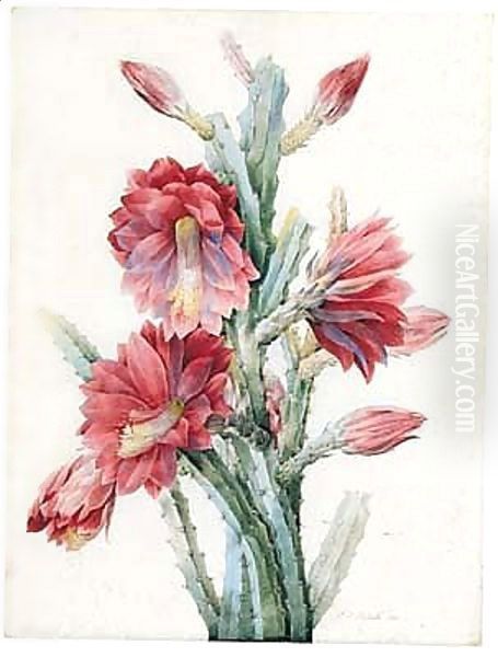 Untitled 3 - view 1