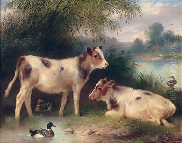 Calves And Ducks - view 1