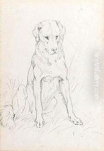 A Dog 2
