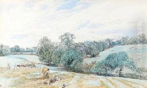 Hampstead Fields