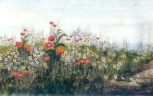A Poppy Field By The Sea