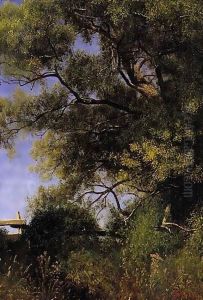 Salem landscape by Albert Bierstadt