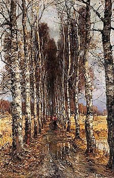 Avenue of birch trees - view 1