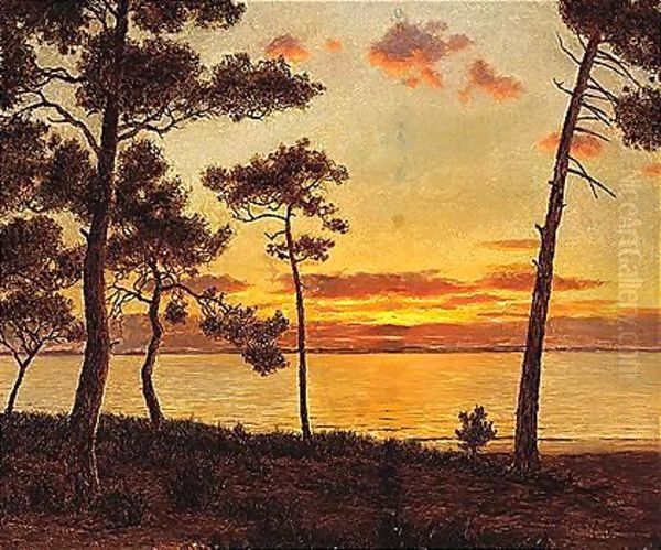 Sunset - view 1