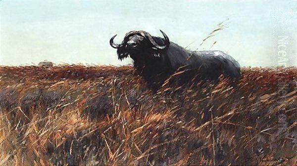 Kafferbuffel Sichernd (Buffalo On The Alert) - view 1