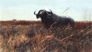 Kafferbuffel Sichernd (Buffalo On The Alert) by Wilhelm Kuhnert