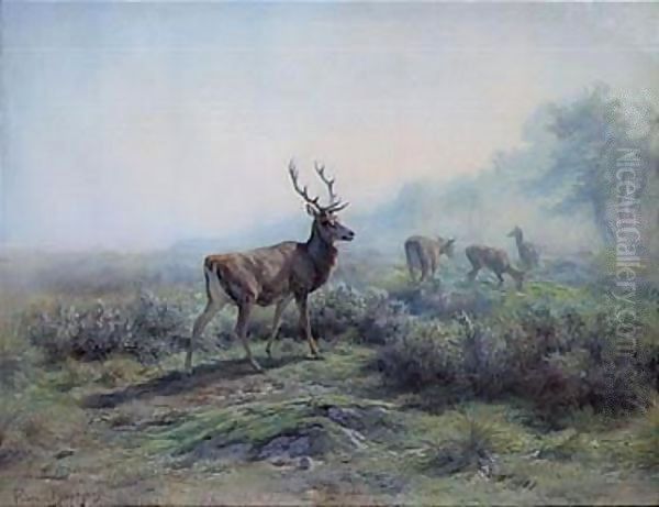 The Deer, Morning Effect (Les Cerfs, Effet Du Matin) - view 1
