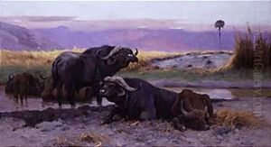 Buffalo Along The Riverbank by Wilhelm Kuhnert