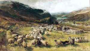 Sheep Gathering by Joseph Denovan Adam