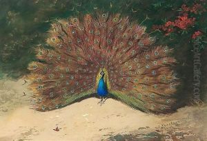 Peacock And Butterfly by Archibald Thorburn