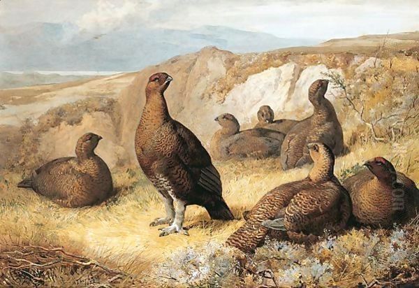 Grouse On The Moor - view 1