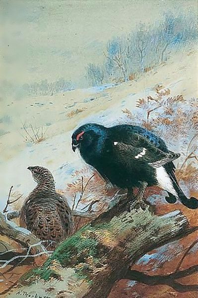 Black Game In Winter - view 1