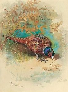 A Cock Pheasant Feeding by Archibald Thorburn