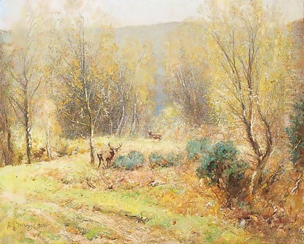 Forest Solitude - view 1