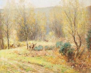 Forest Solitude by David Murray