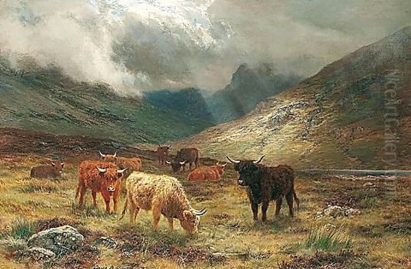 Highland Cattle In A Glen - view 1