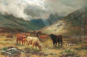 Highland Cattle In A Glen