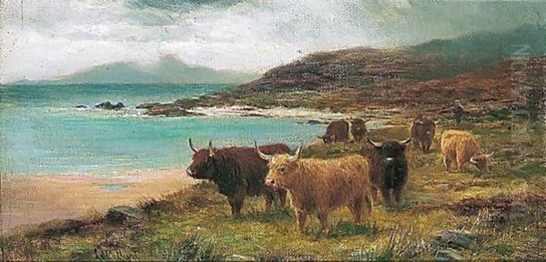 The Sands Of Morar - view 1