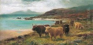 The Sands Of Morar The Sands Of Morar
