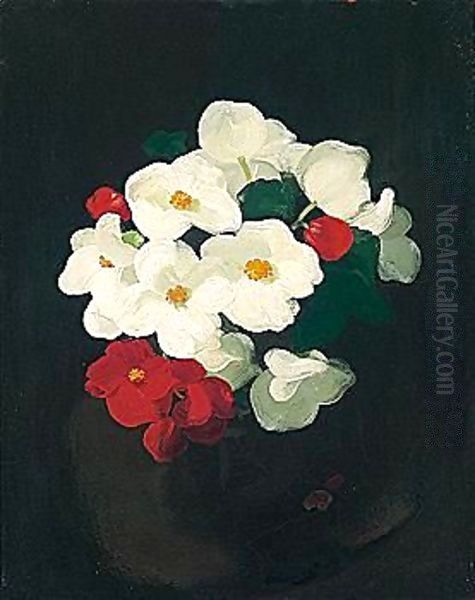 Red And White Christmas Roses - view 1