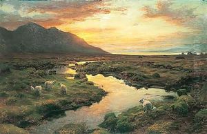 The Moss - Poolewe