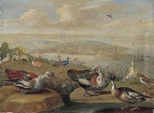 Ducks And Other Birds On The Seashore