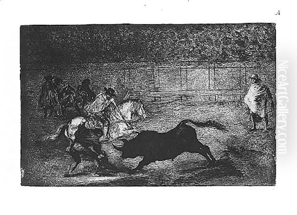 Bull fight - view 1