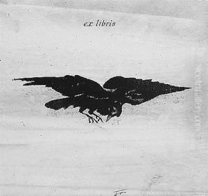Flying raven