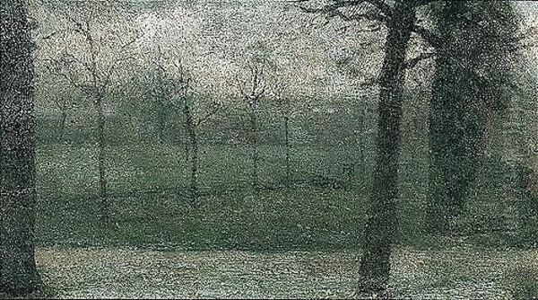 Trees At Dusk - view 1