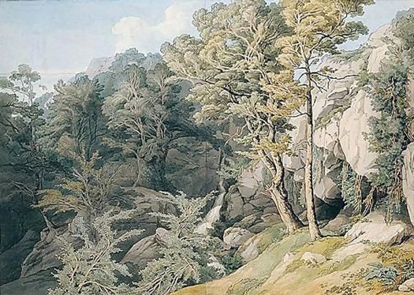 Canonteign, Devon - view 1