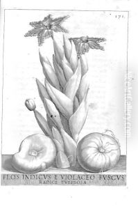 De Florum Cultura. Roma Stefano Paolini, 1633 by Giovanni Battista Ferrari