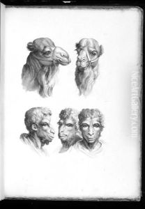 Dissertation Sur Un Traite Concernant Le Rapport De La Physionomie Humaine Avec Celle Des Animaux. Parigi Calcographie Du Musee Napoleon, 1806 by Charles Le Brun