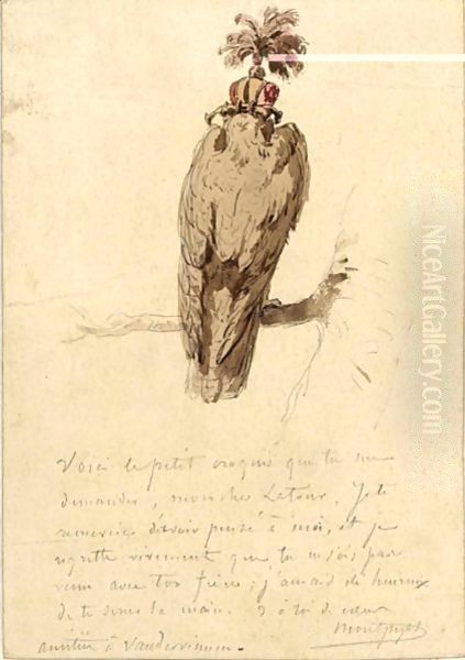 A Peregrine - view 1