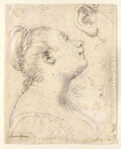 Study Of The Head And Shoulders Of A Woman In Profile And Separate Studies Of Her Head And Ear - view 1