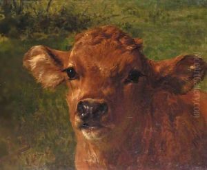 Tete De Veau by Rosa Bonheur