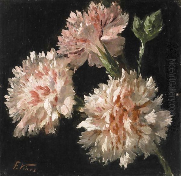 Garofani Rosa - view 1