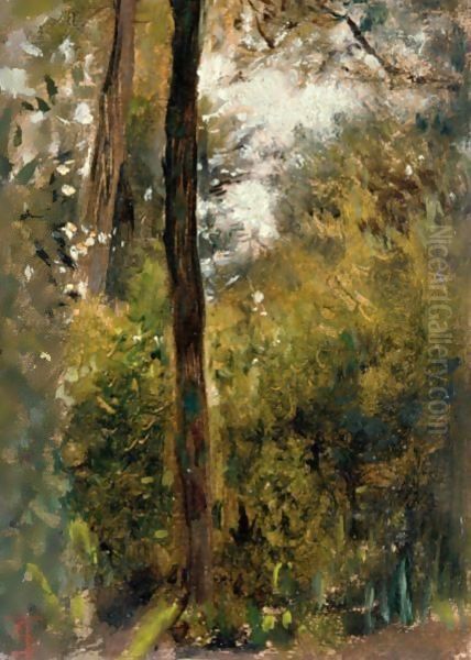 Bosco - view 1