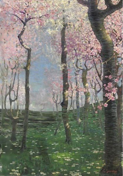 Primavera - view 1