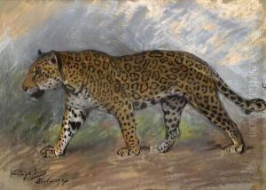 Jaguar by Geza Vastagh