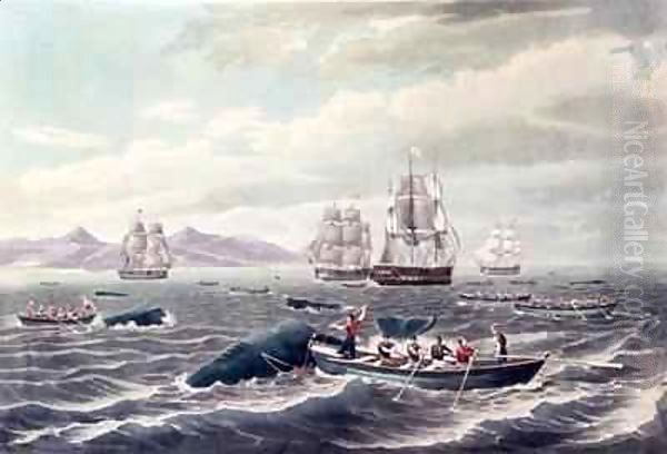 A Shoal of Sperm Whale - view 1