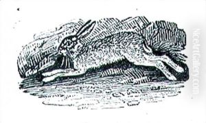 Hares by Thomas Falcon Bewick
