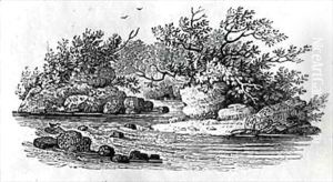 Endpiece 2 by Thomas Falcon Bewick