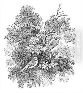 Long Tailed Titmouse from 'History of British Birds and Quadrupeds' by Thomas Falcon Bewick