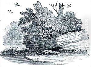 Fox by Thomas Falcon Bewick