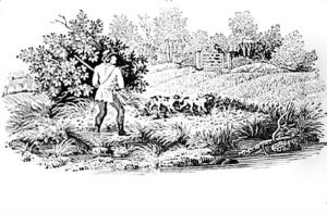 Sportsman and his Setter from 'History of British Birds and Quadrupeds' by Thomas Falcon Bewick