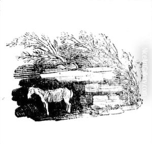 A Donkey from 'History of British Birds and Quadrupeds' by Thomas Falcon Bewick